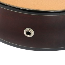 Ibanez GA5TCE-AM