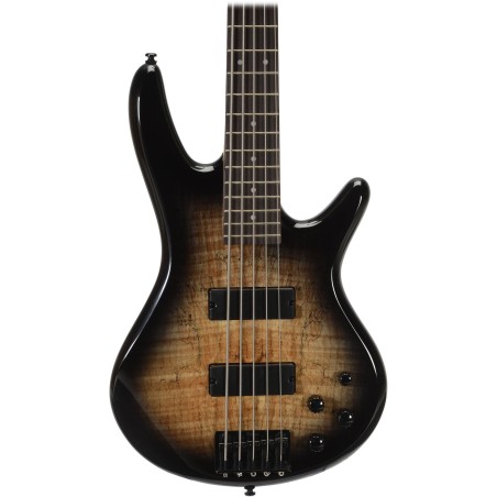 Ibanez GSR205SM-NGT