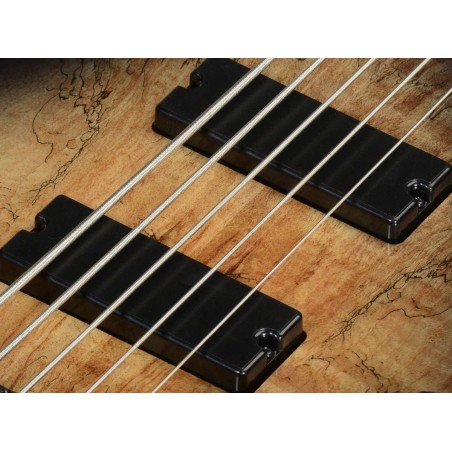 Ibanez GSR205SM-NGT