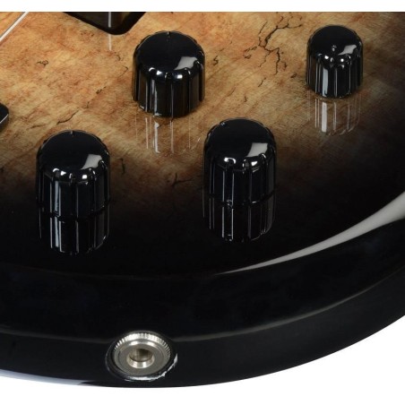 Ibanez GSR205SM-NGT