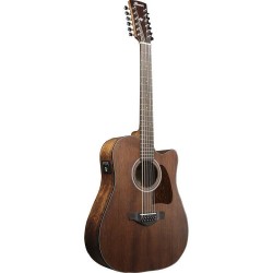 Ibanez AW5412CE-OPN Open Pore Natural