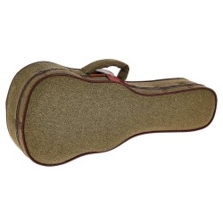 Ibanez FS40UC