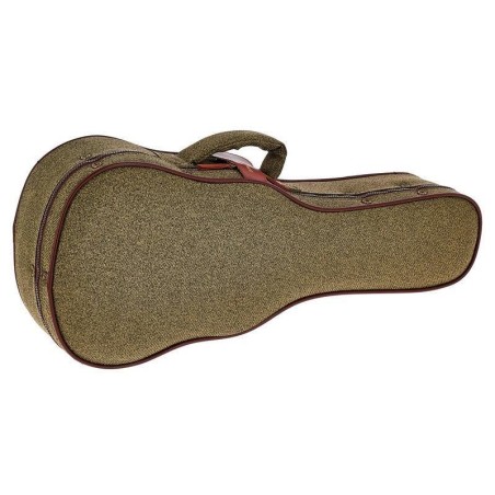 Ibanez FS40UC
