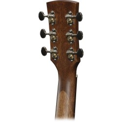 Ibanez AW54JR-OPN