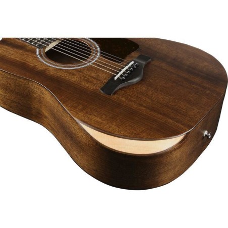 Ibanez AW54JR-OPN