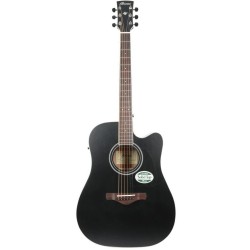 Ibanez AW84CE-WK