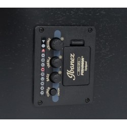 Ibanez AW84CE-WK