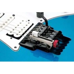 Ibanez EJK1000