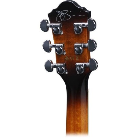 Ibanez JSA20-VB