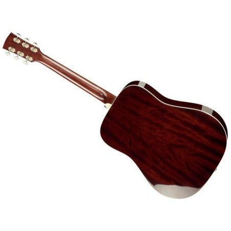 Ibanez AVD10-BVS