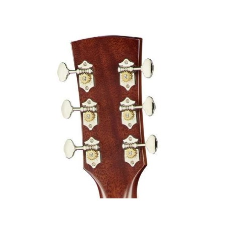 Ibanez AVD10-BVS