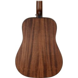 Ibanez AW54-OPN Open Pore Natural