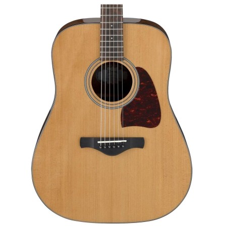 Ibanez AVD9-NT