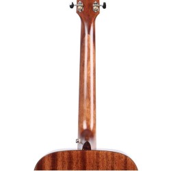 Ibanez AVD9-NT