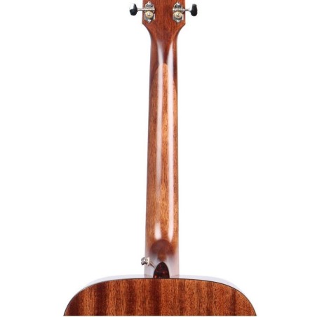 Ibanez AVD9-NT