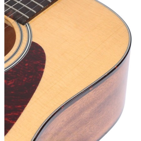 Ibanez AVD9-NT