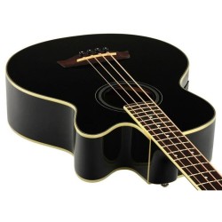 Ibanez AEB8E-BK
