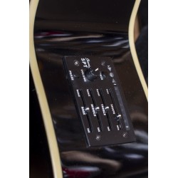 Ibanez AEB8E-BK