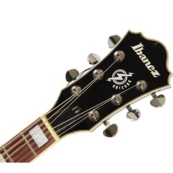 Ibanez AF75-BS