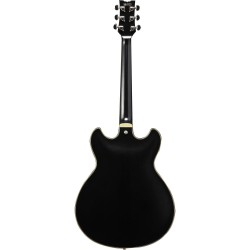 Ibanez JSM20-BKL Black Low Gloss
