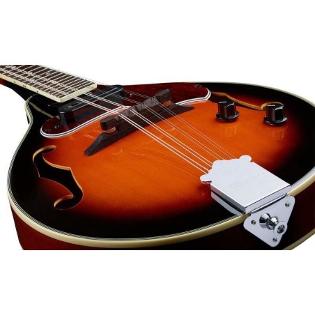 Ibanez M510E-BS