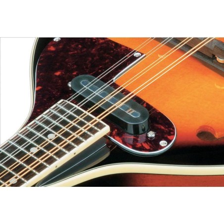 Ibanez M510E-BS