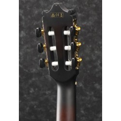 Ibanez GA35TCE-DVS