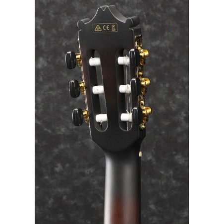 Ibanez GA35TCE-DVS