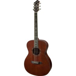 Hagstrom MOCON2