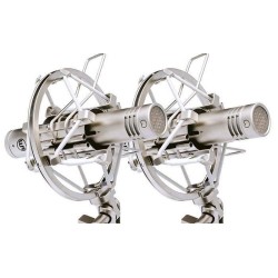 Warm Audio WA-84 Nickel Coppia Stereo