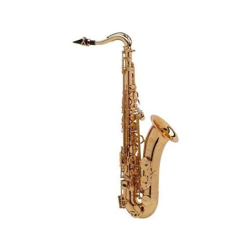 Selmer custodia sax tenore Light Black - Raffaele Inghilterra