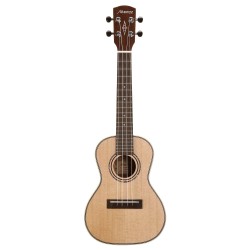 Alvarez AU70WC