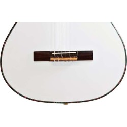 Ortega RCE145WH