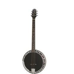 Epiphone Stagebird Red-Brown Mahogany