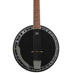 Epiphone Stagebird Red-Brown Mahogany