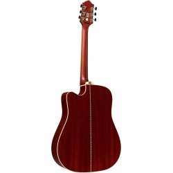 Epiphone DR-500MCE Natural