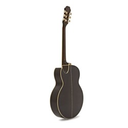 Epiphone PR-5 Natural