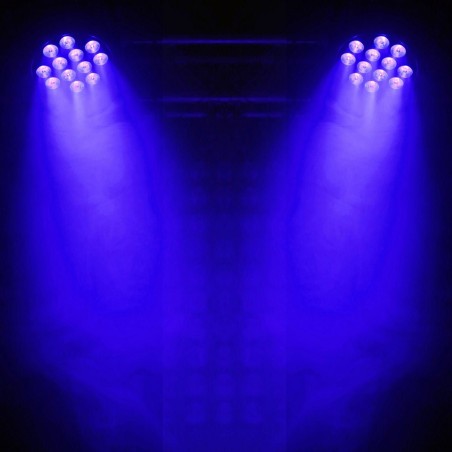 Beamz BT310