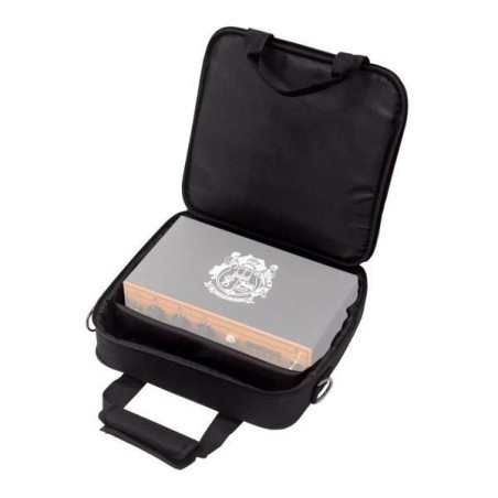 Orange Gig Bag Pedal Baby 100