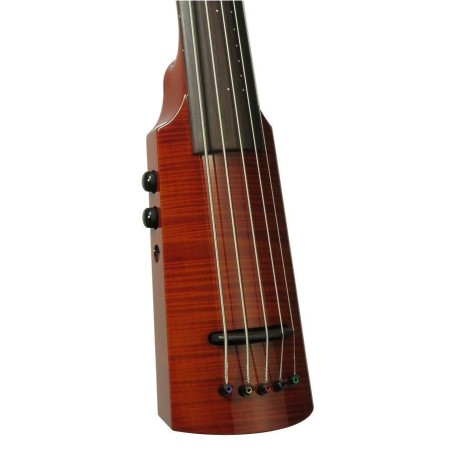Ns Design WAV5 Omni Bass Amber Burst