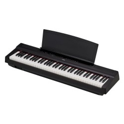 YAMAHA P-121B