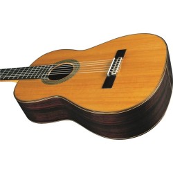 Eko Vibra 500