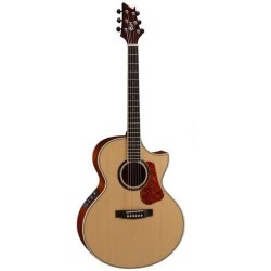 Cort NDX20 NAT