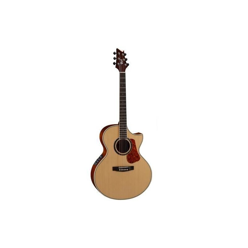 Cort NDX20 NAT