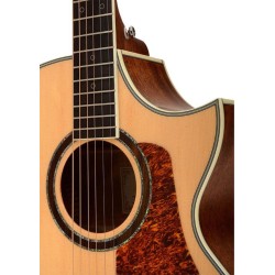 Cort NDX20 NAT