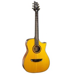 Cort Luxe Frank Gambale Signature Natural