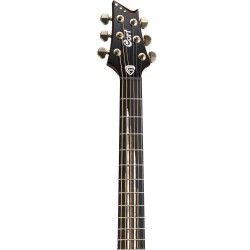 Cort Luxe Frank Gambale Signature Natural