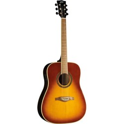 Eko One ST D EQ Vintage Burst ETS