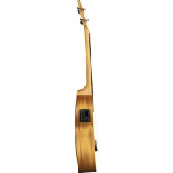 Eko Evo Ukulele Tenore EQ