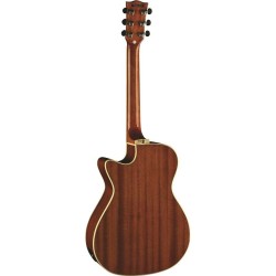 Eko One A150CE Vintage Burst